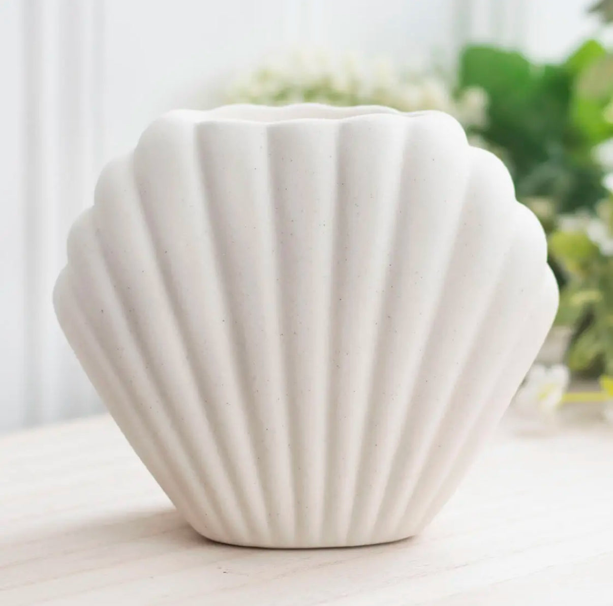 Seashell Oil Burner and Wax Warmer