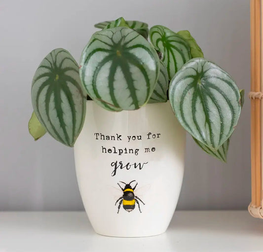 Thank You For Helping Me Grow Ceramic Plant Pot